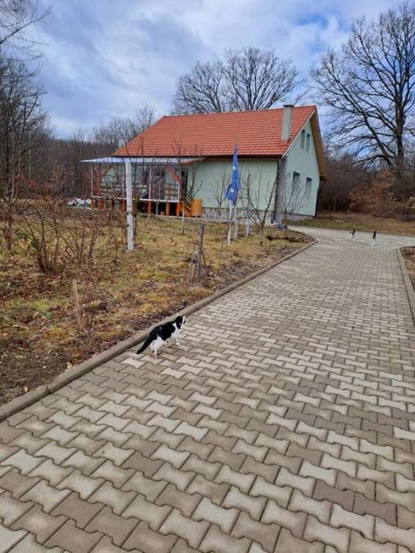 Casa de închiriat Șelimbăr