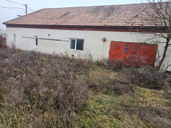 Vând Hala Borșa Cluj-Napoca