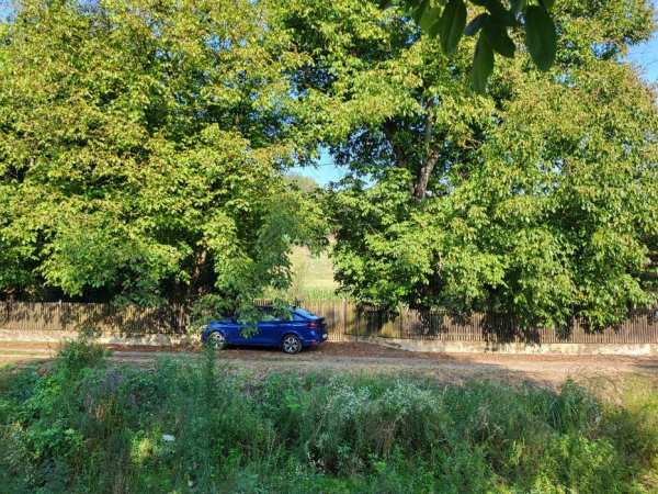 Vand gradina in intravilanul  loc. Conop, de 7800 mp cu nr de casa