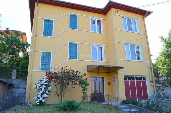 Proprietar, vand vila