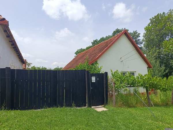 Vând casă cu grădină