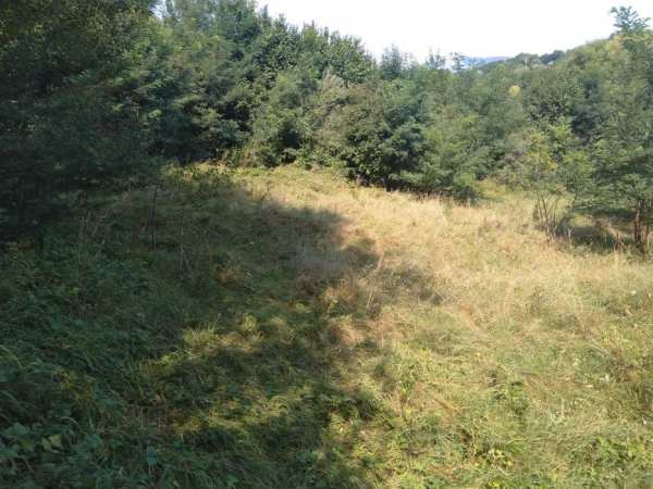 Teren intravilan Breaza de Sus, cadru intim natural, 4948 m2