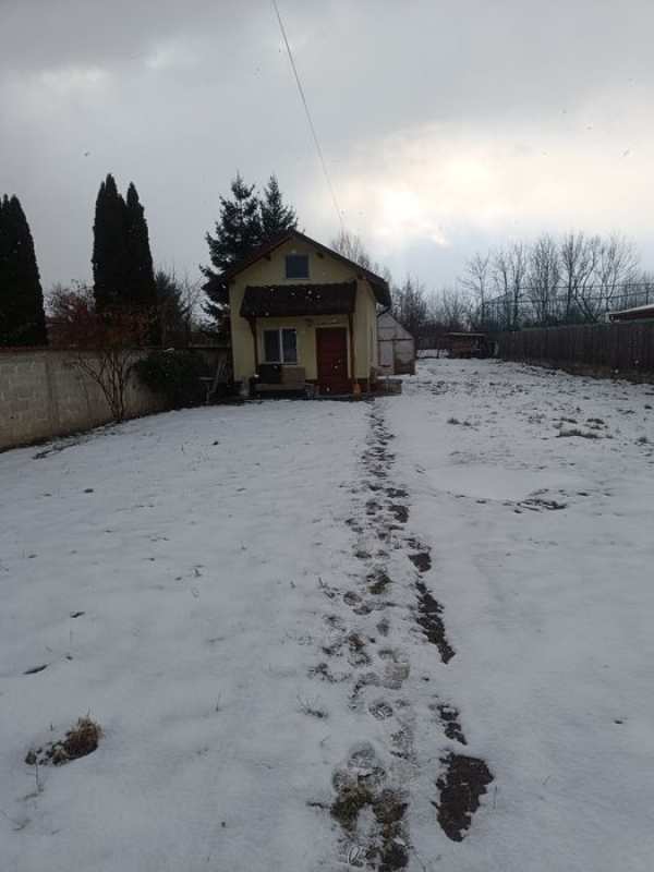 Casă de închiriat