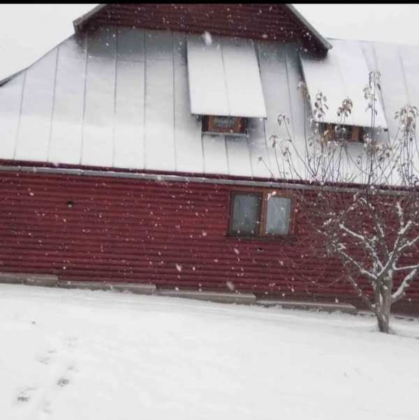 Casa de închiriat