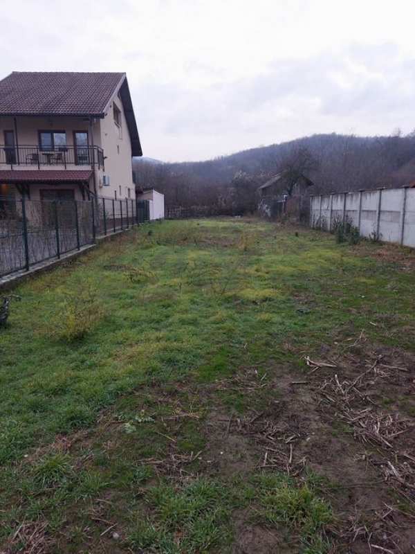 teren de vanzare,calimanesti