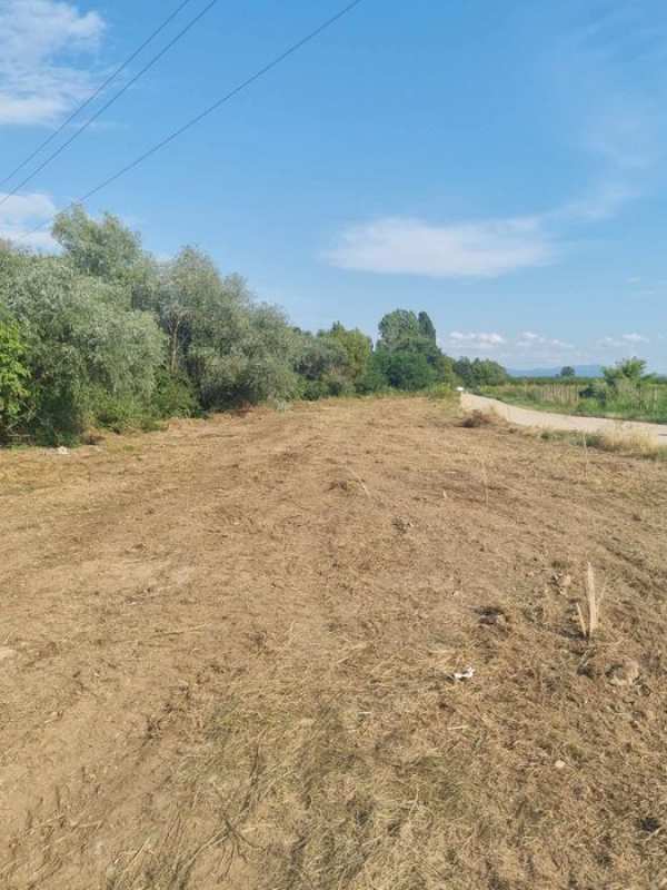 Teren intravilan Tinca