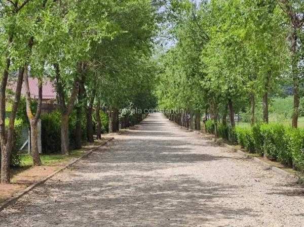 Loturi constructie intre 70-85 Euro/mp - Afumati, Strada Padurii