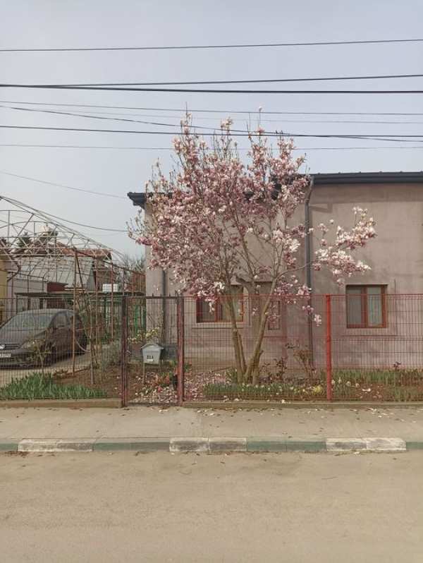 Vând casă p+m in Lazu/schimb