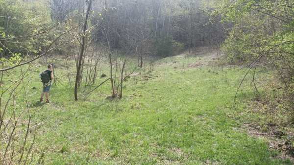 Teren intravilan Breaza de Sus, cadru intim natural, 5000 m2