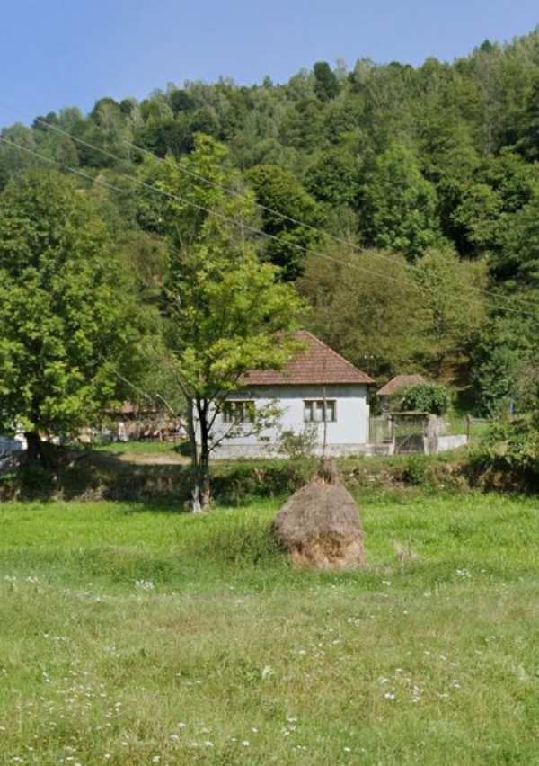 Vând casă și teren în Munteni, comuna Bulz ( Bihor) cu ieșire la DJ