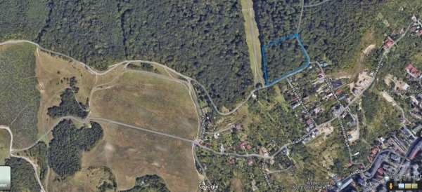 Vand 17234 mp in Padurea Hoia zona Uliului