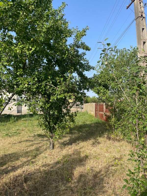 VAND TEREN 3600M ,deschidere 36M,COM.BABANA SAT Manolesti,.  8E/M