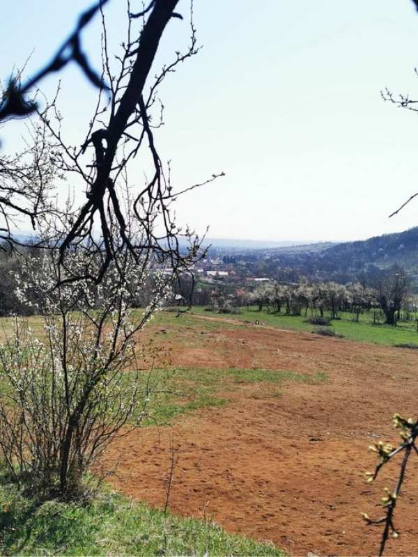 Teren Baia de Fier langa iesirea de la Pestera Muierilor