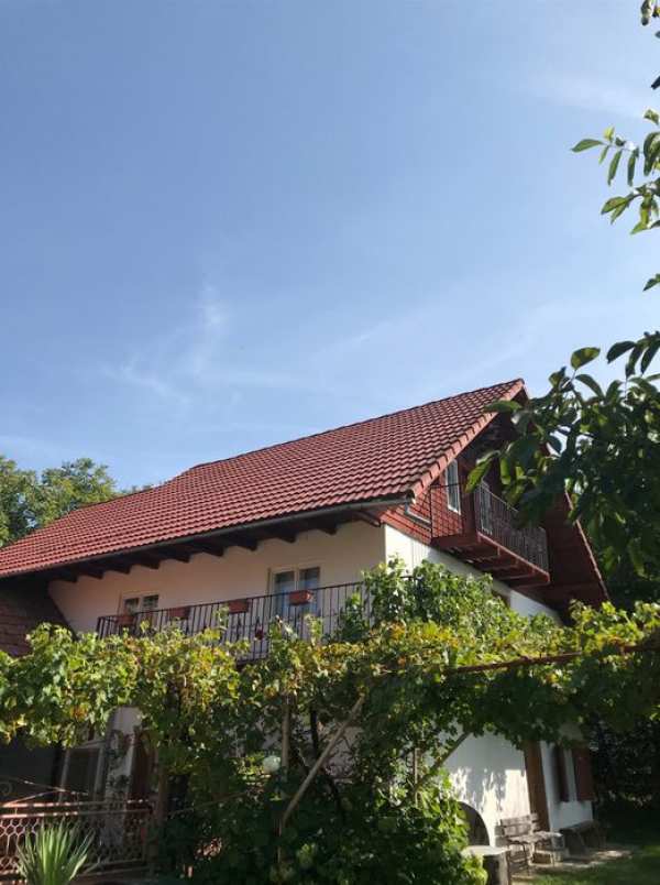 Vila Dani in Bran