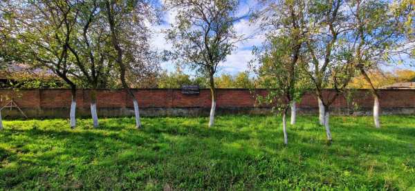 Teren 1041 mp intravilan, Bucovăț, Timiș