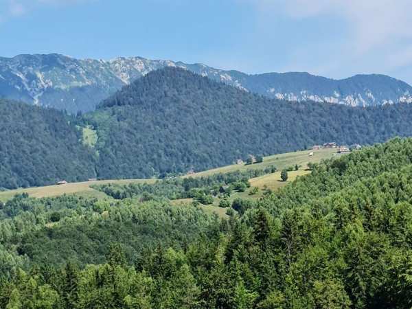 Teren linistit 4 hectare,  Șirnea,  Fundata cu râu pe 2 laterale
