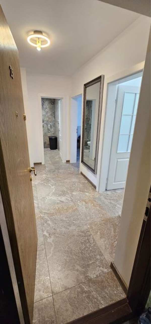 Apartament 1 camera Anastasie Panu