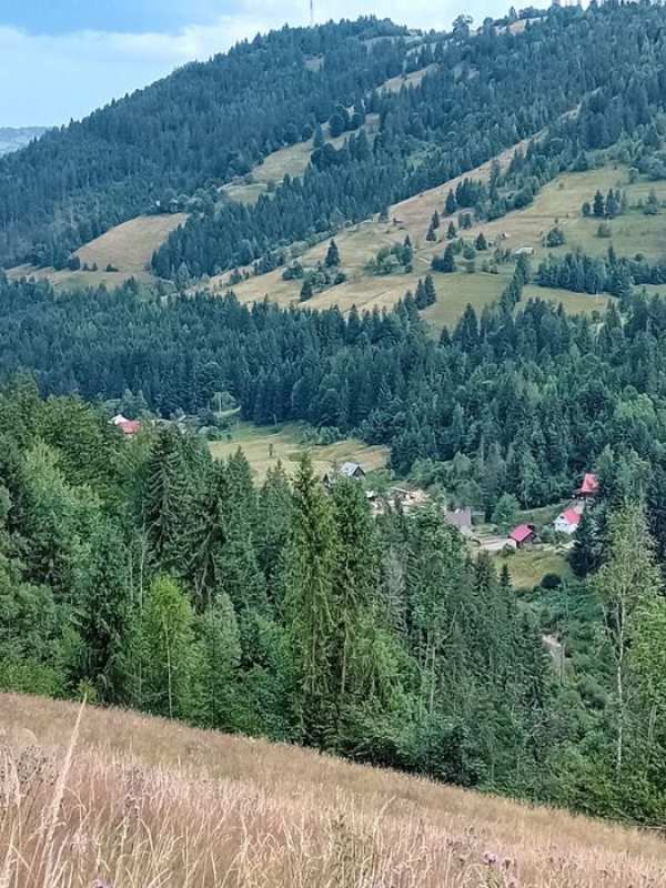 Teren extravilan in comuna Horea, sat Matisesti