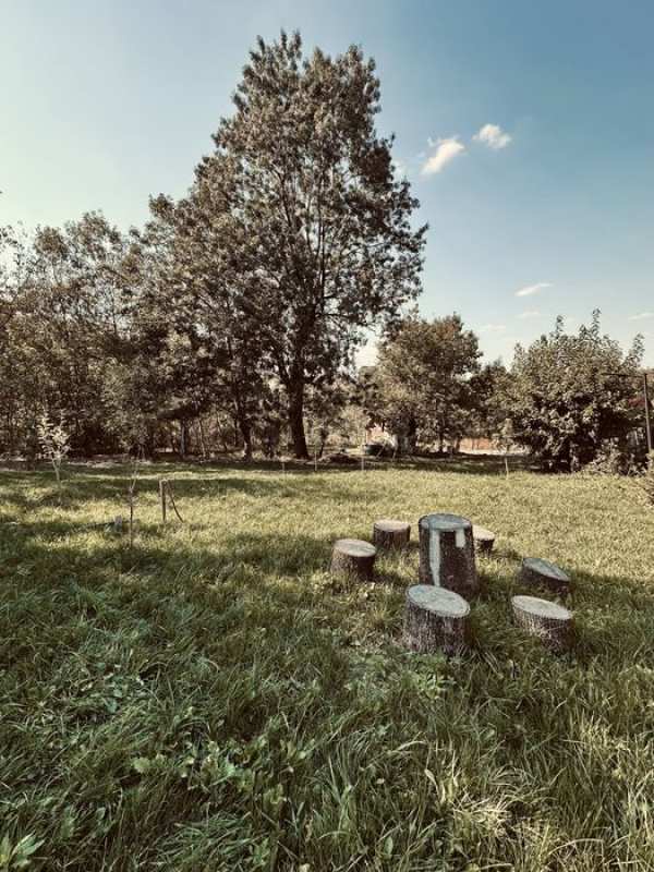 Teren de vanzare intravilan