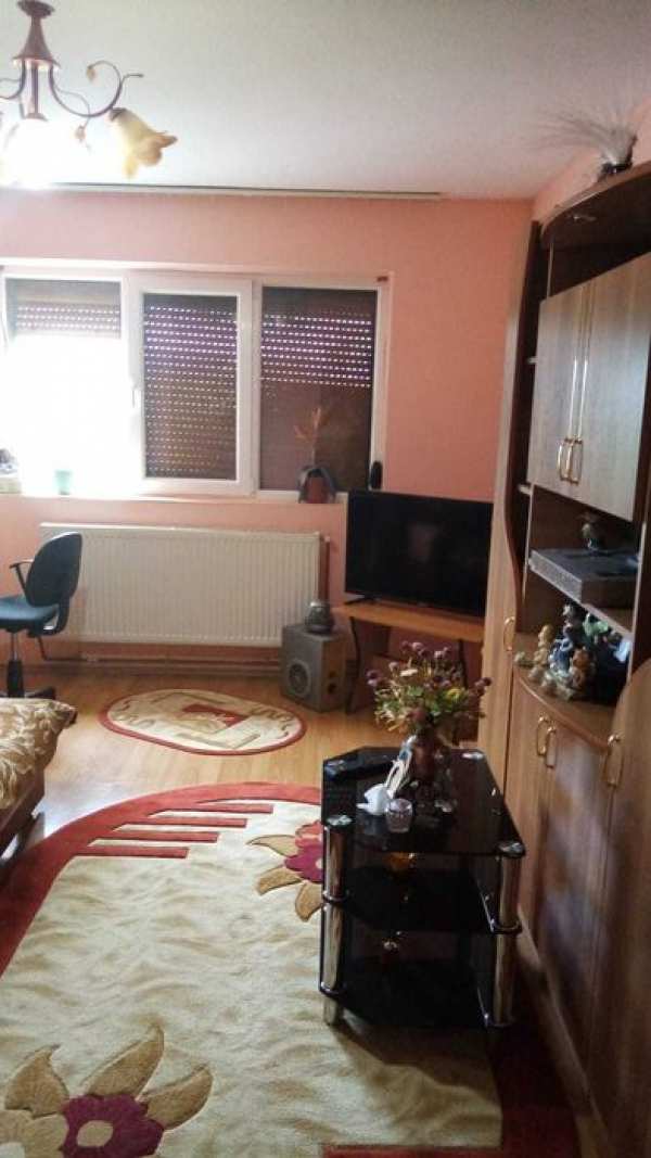 Vanzare apartament doua camere, acoperis renovat 2024, Sascut