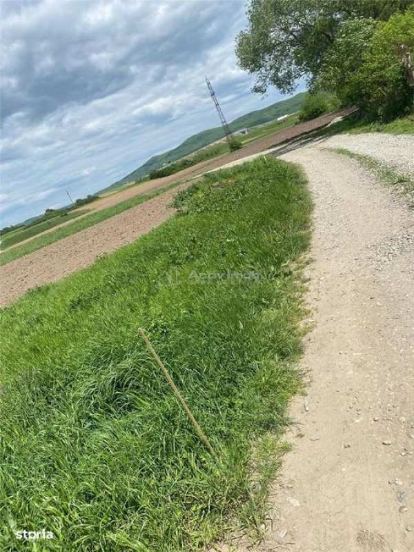 Teren de vanzare pe Drumul Sadului