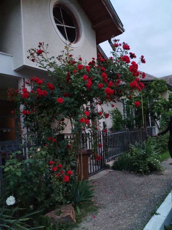 Casa  de  vânzare