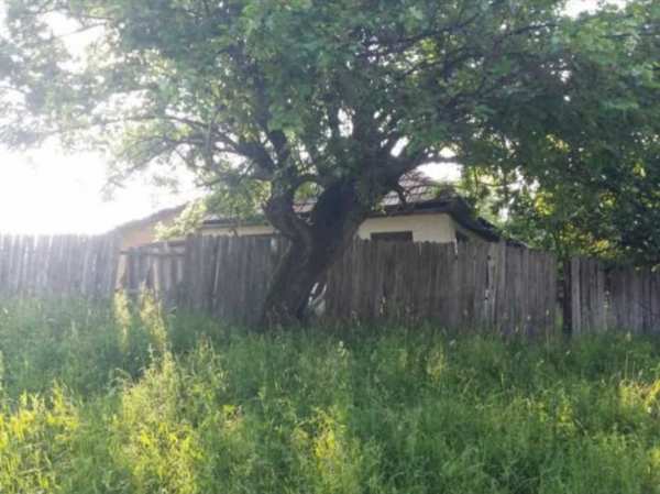 Vand casa batraneasca cu teren intravilan pentru constructie