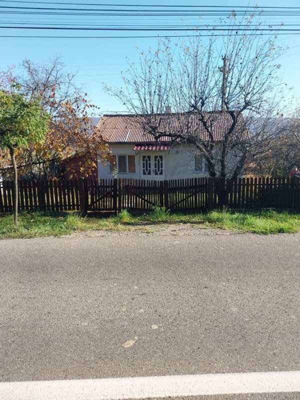 Casă 3 camere plus 49 ari teren