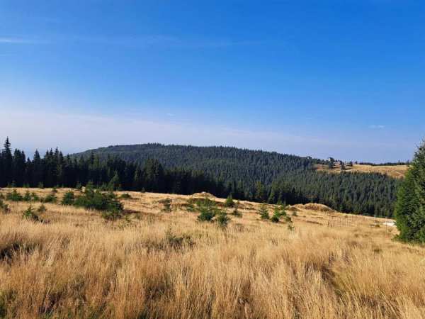 Teren la munte, Varful lui Roman