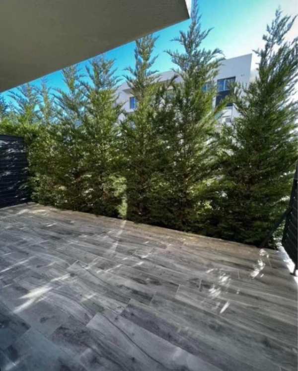 Închiriez apartament in Sântandrei