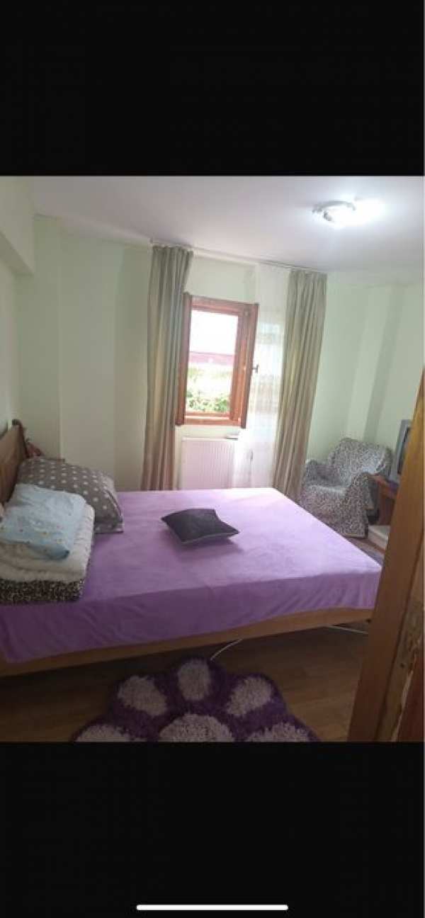 apartament 3 camere