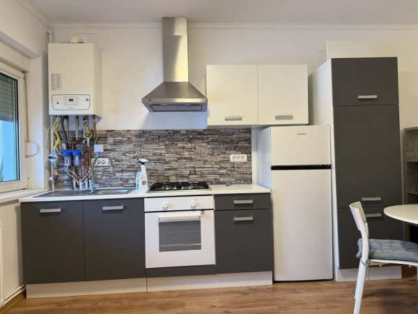 Inchiriez apartament open-space in Sannicolau Mare