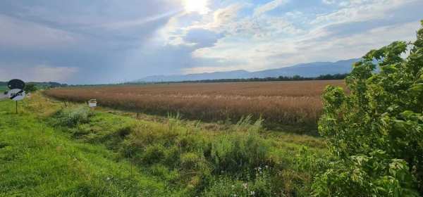 Vand terenuri in Vintul de Jos