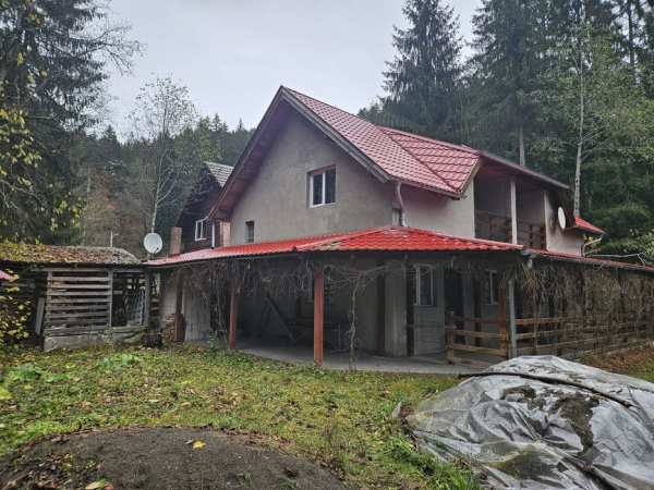 Vând cabană/casă de vacanta la munte Valea Ilvei Mures