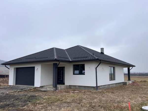 Vand casa in Reghin