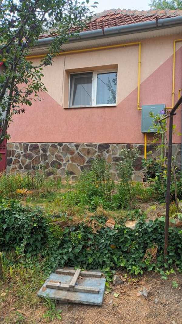 Casa familiara de vanzare