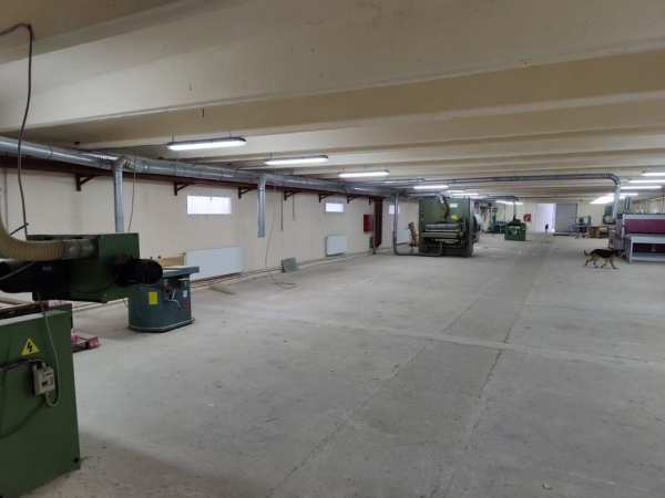 Vand hala productie Baia Mare, in sup. de 1200 mp, teren 46 ari
