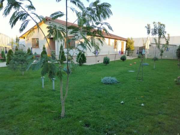 Casă Copăceni Ilfov