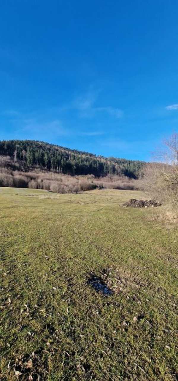 Vând teren Tarlungeni Brasov, s 5000 mp