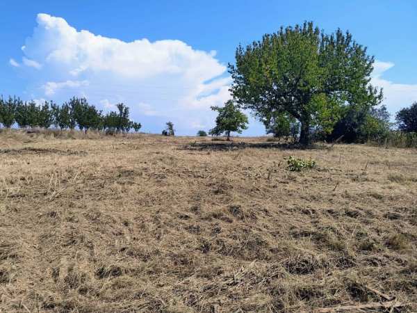 Vând teren intravilan cu casă  bătrânească în Cetariu