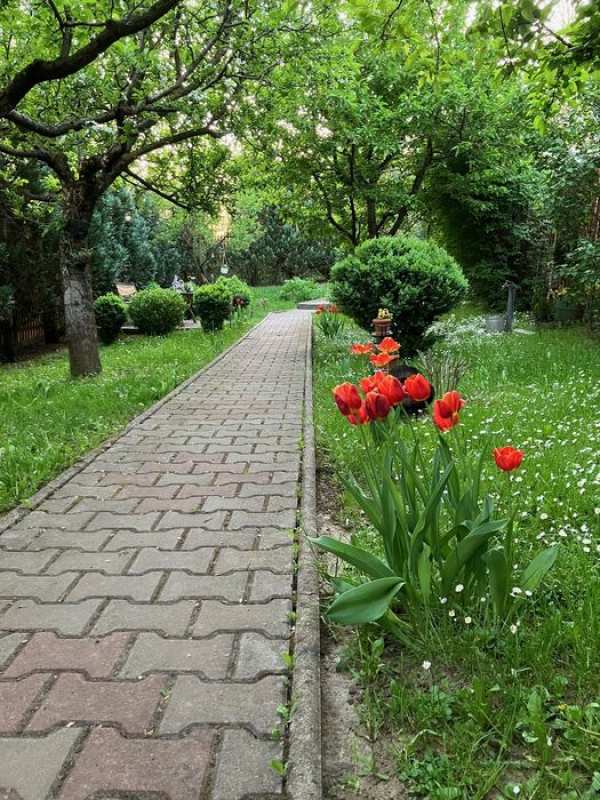 Vand cabana Tudor Platou