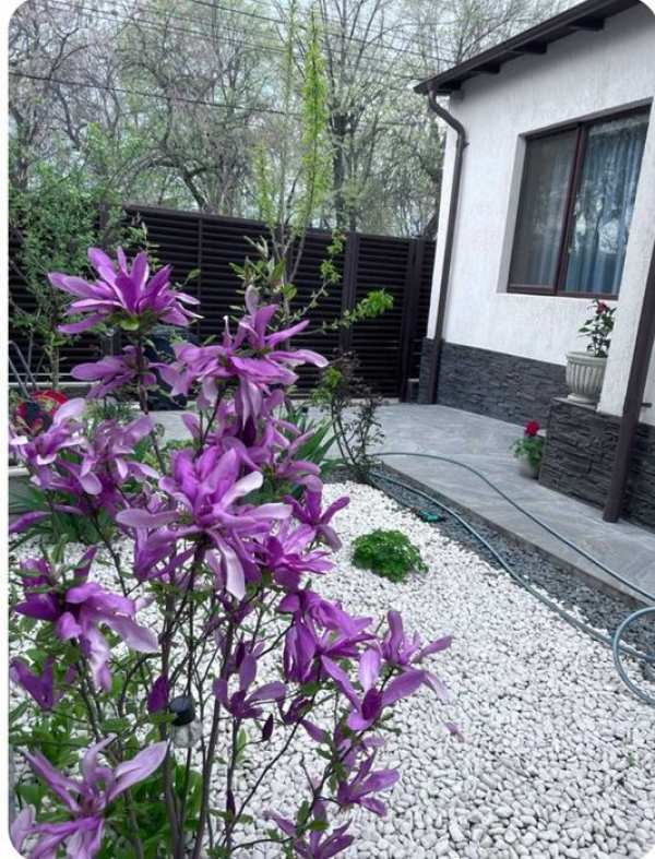 Casa de vanzare Ploiesti