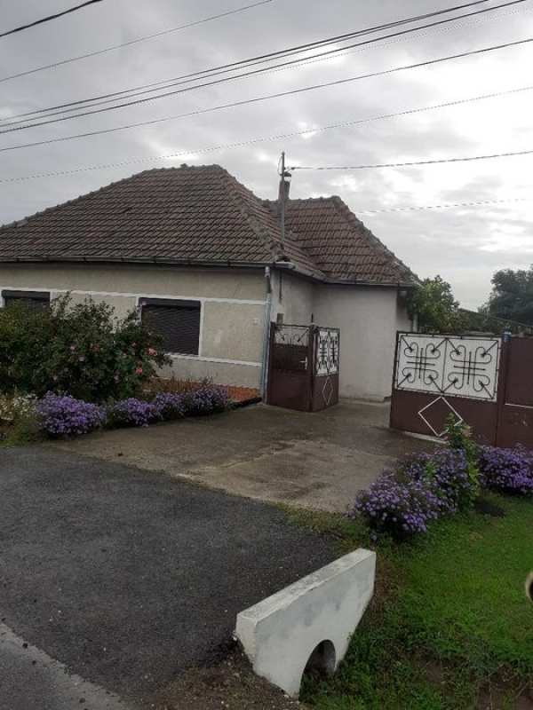 Vând sau schimb casa la Berecuta cu apartament in Timișoara