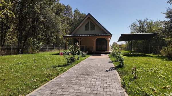 Casa la padure Moara Vlasiei Constructie 2023
