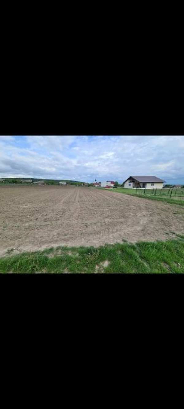 Terenuri de vanzare, loc Danila, la 15 km de Suceava
