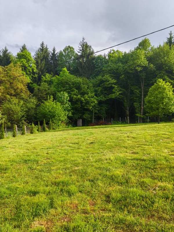 Vand teren intravilan 1450mp in Tocile Sadu