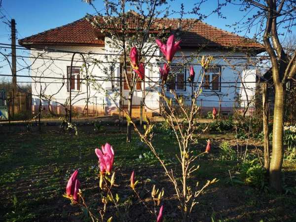 Casă la țară, cu anexe și grădină spațioasă, Dolj