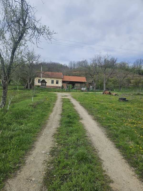 Sălaș Sichevita la 6 km de Dunare