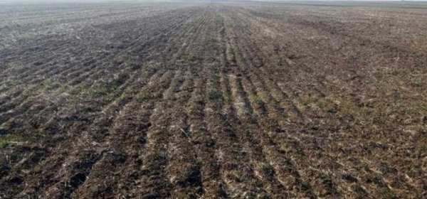 Teren agricol frumos langa Sebis judetul Arad