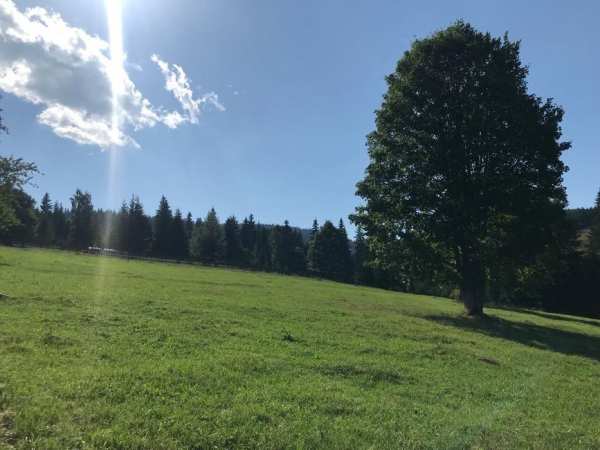 Vând teren în zonă de munte